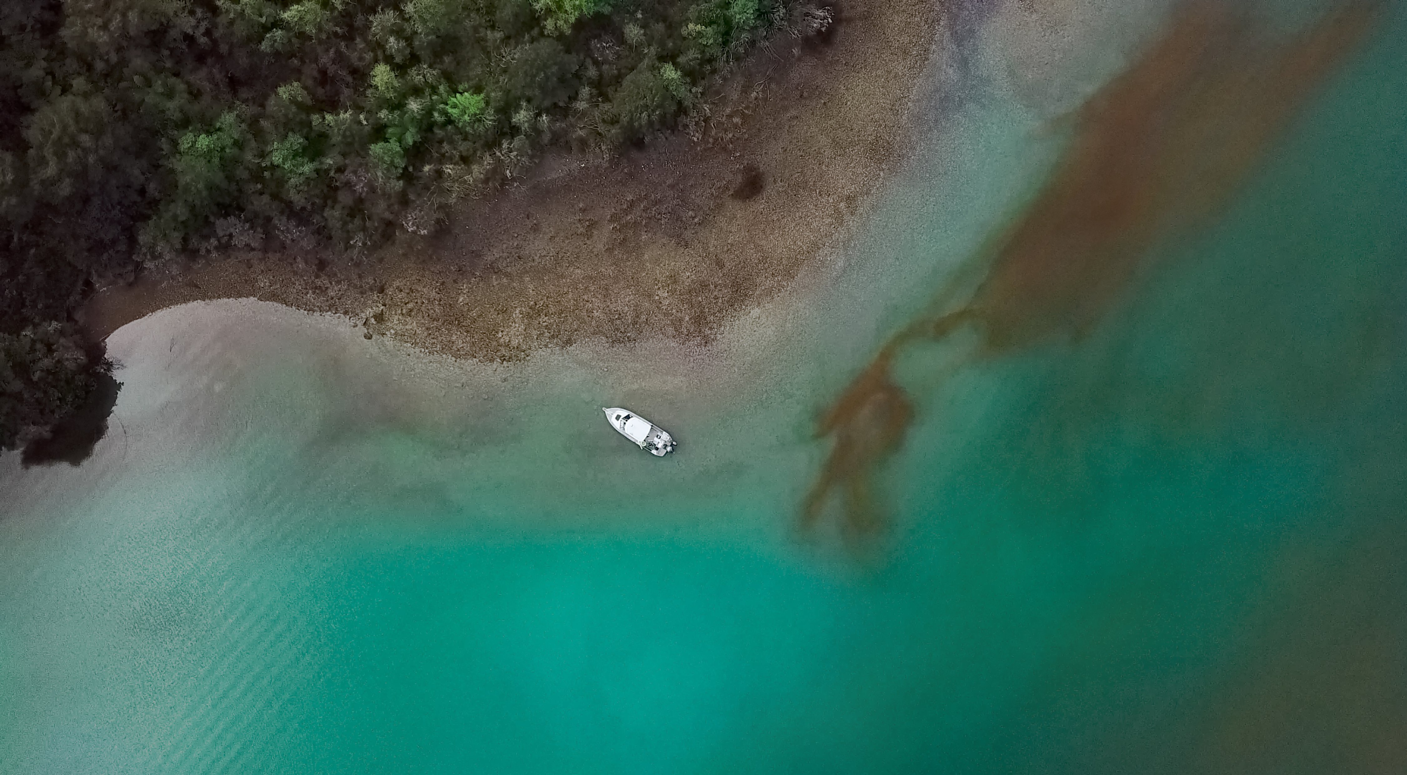 Aerial view of an algal bloom in Nyda Bay, New Zealand, 2019