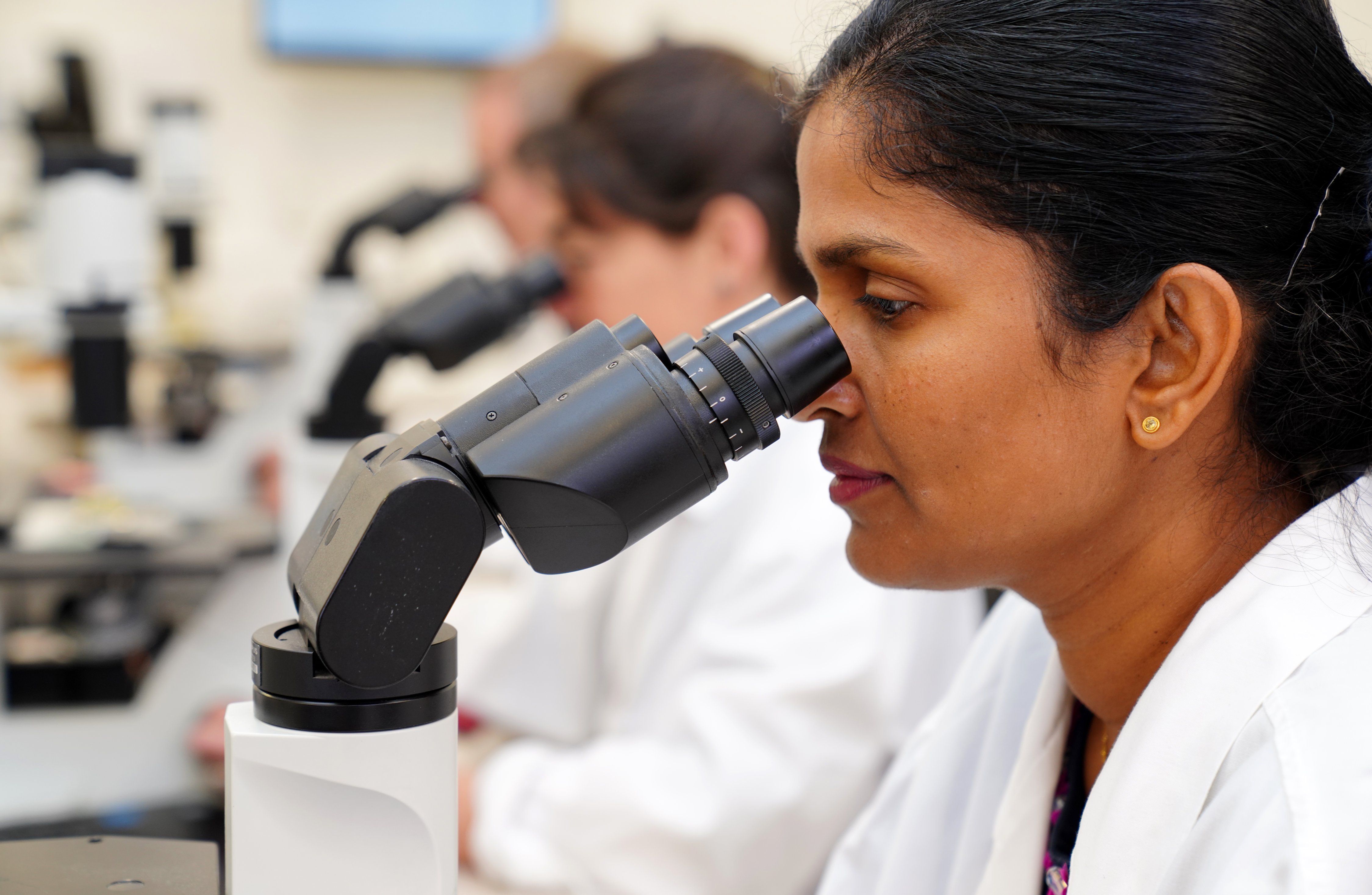 Scientist examining phytoplankton samples in a Cawthron Institute laboratory